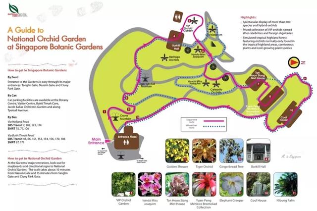 新加坡的国花竟以孙燕姿命名？去世界上最大的兰花园猎猎奇