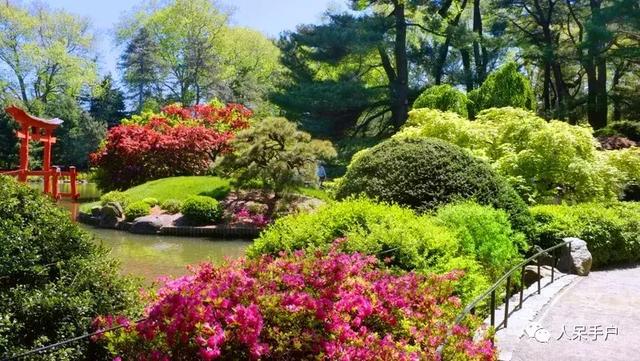 五座世界最引人入勝的植物園