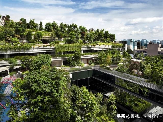 好景观分享 | 新加坡露台屋顶公园实景