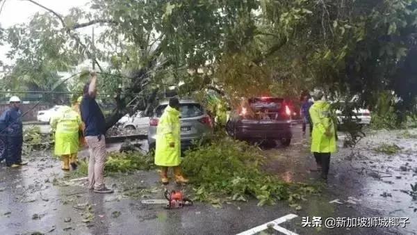 史上首次！新加坡惊现龙卷风！屋顶掀翻，漫天乱飞...