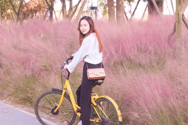 1号线上的小新加坡，还有网红粉黛乱子！