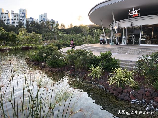 新加坡Jurong Lake Garden裕廊湖公园之美丽花草世界B魅力狮城