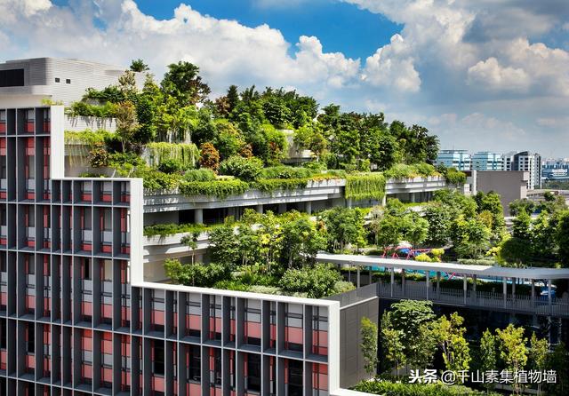 綠化案例·新加坡露台屋頂公園kampung Admiralty