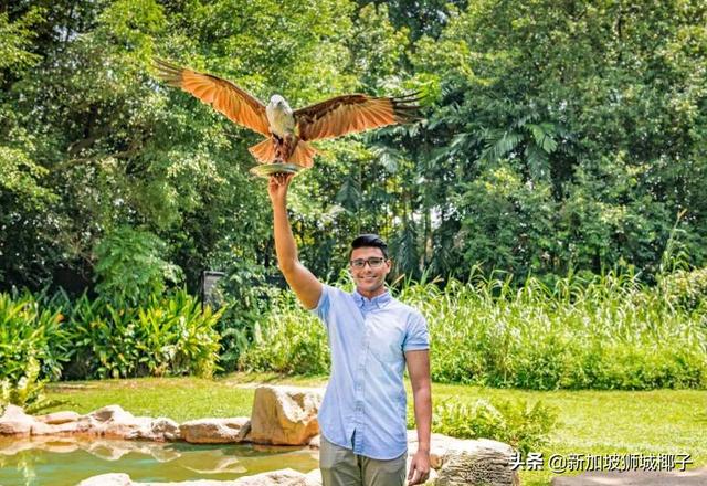 新加坡全新景點來襲，以後全島有5個動物園