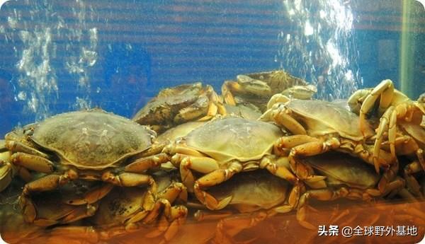 新加坡的國寶蟹宴：珍寶海鮮，招牌名店，海鮮控不能錯過啊