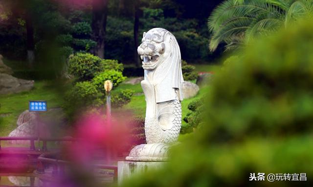湖北宜昌：公园现新加坡鱼尾狮雕塑 市民说不认识