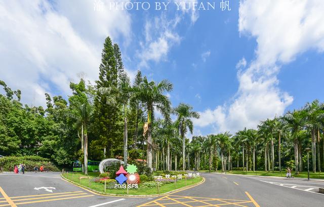 深圳盐田慢生活，纵情山海之间，享国内首家的天际无边泳池漂浮餐