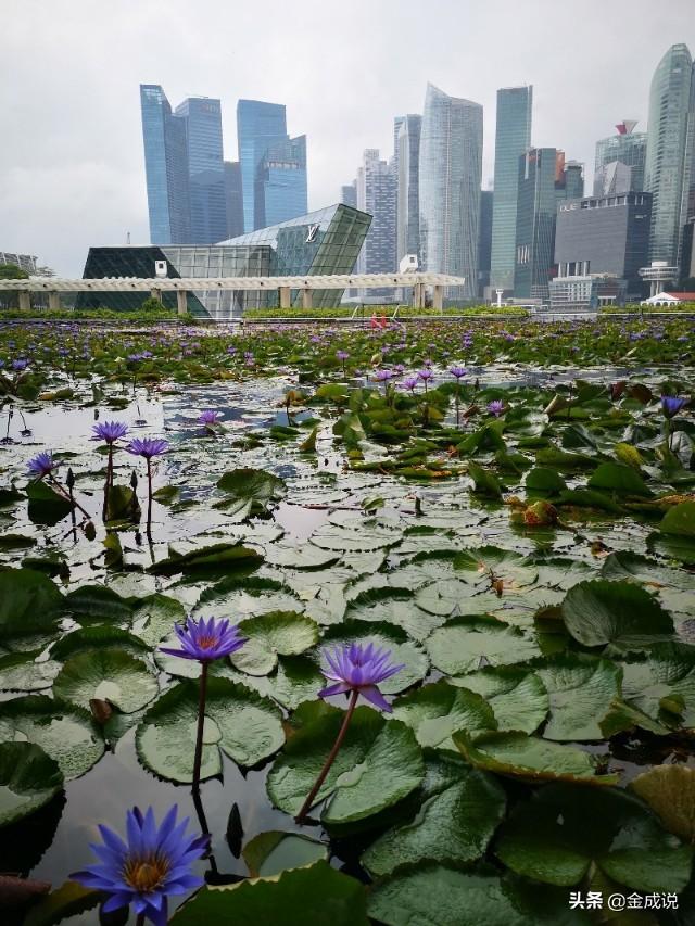 新加坡  一个富人聚集的地方