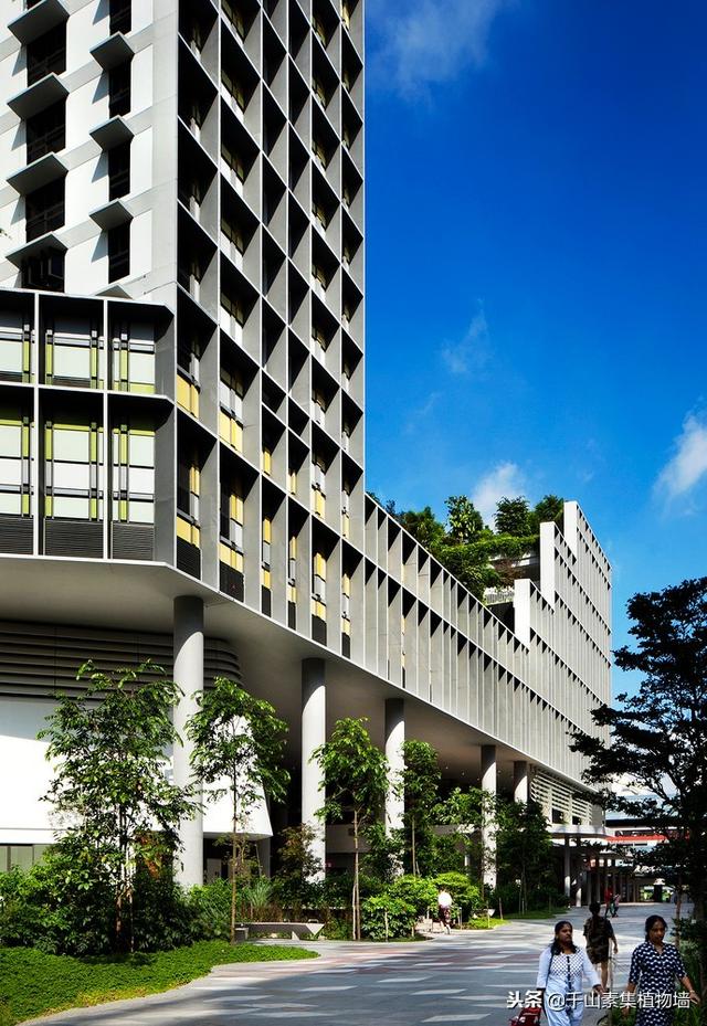绿化案例·新加坡露台屋顶公园kampung Admiralty