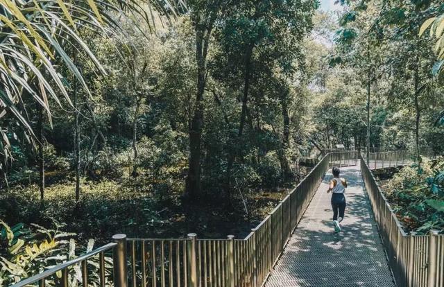 新加坡甩膘大行動，get起這6個公園