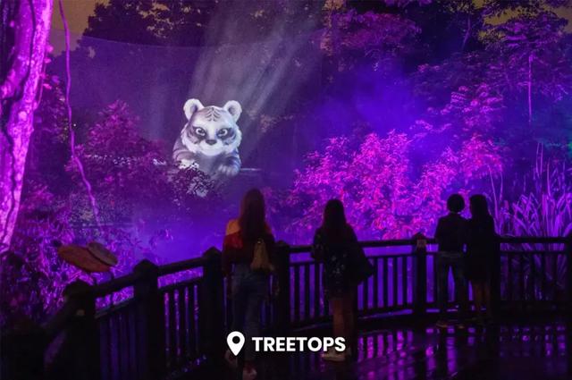 每年吸引190萬遊客！新加坡動物園靠“夜遊”一炮而紅？