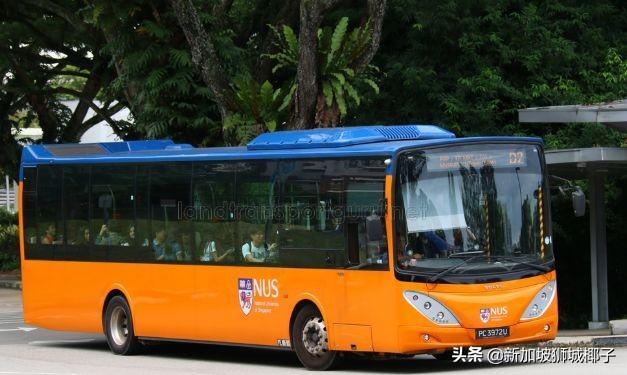 全島熱議！新加坡國大NUS的中國籍講師，竟在校車上非禮女學生