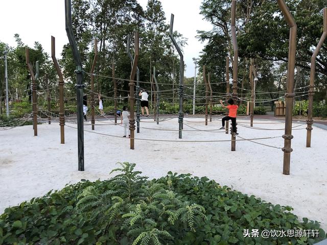 新加坡Jurong Lake Garden裕廊湖公园之美丽花草世界B魅力狮城