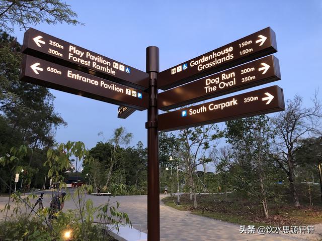 新加坡Jurong Lake Garden裕廊湖公园之美丽花草世界B魅力狮城