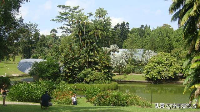 新加坡 植物园