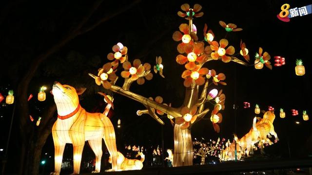 新加坡牛车水亮春节彩灯，摆放88只“灵犬”迎新狗年