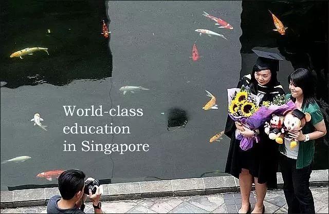那些留學新加坡的學生，現在過得怎麽樣？
