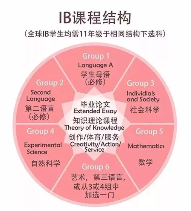 重磅！义务教育禁用境外教材！读国际学校还得去新加坡