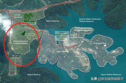 新加坡全新景點來襲，以後全島有5個動物園