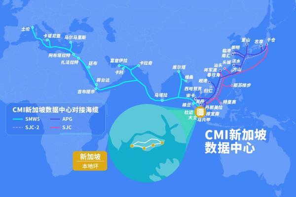 推进“一带一路”全球大连接：中国移动国际首个海外数据中心于新加坡落成
