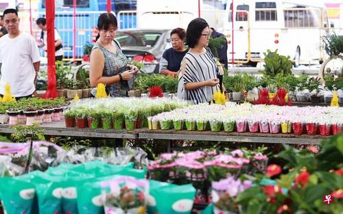 新加坡牛车水新春花市开市 超200种应节植物供选购