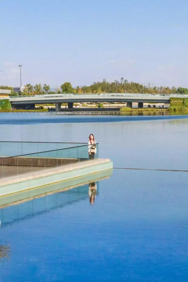 1号线上的小新加坡，还有网红粉黛乱子！