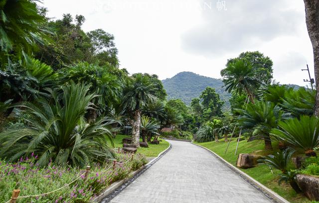 深圳盐田慢生活，纵情山海之间，享国内首家的天际无边泳池漂浮餐