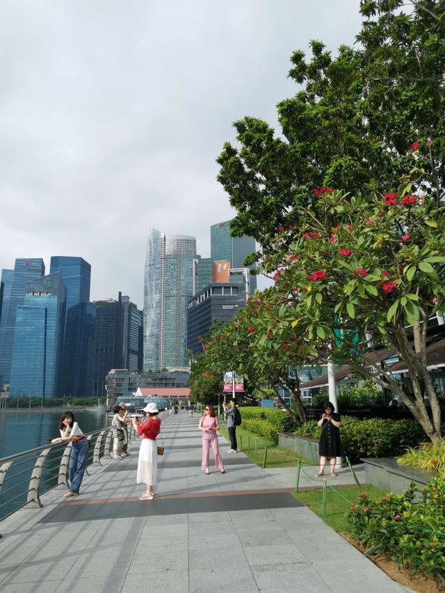 有“花园城市”美誉，全年气候温暖——如诗如梦新加坡的美图