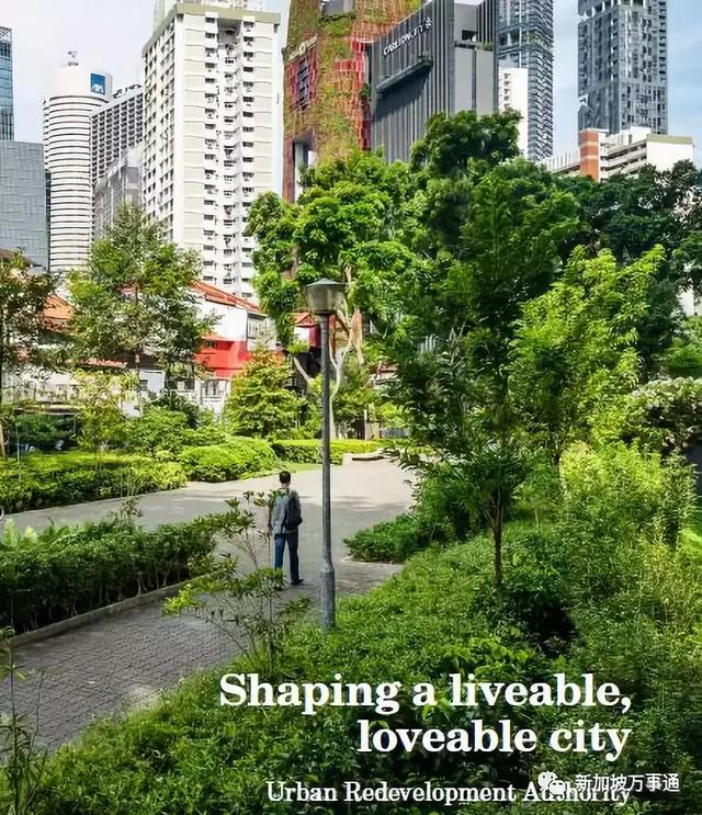 確定了，未來的新加坡竟是這樣的！