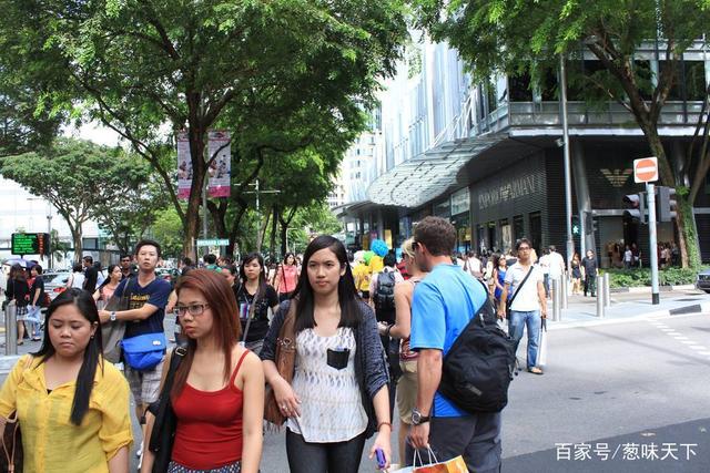 關于新加坡的6個事實，告訴你真正的新加坡，和想象中很不一樣