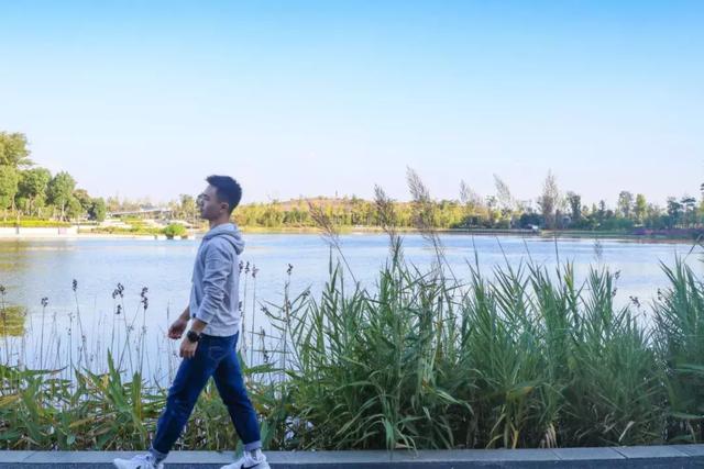 1号线上的小新加坡，还有网红粉黛乱子！