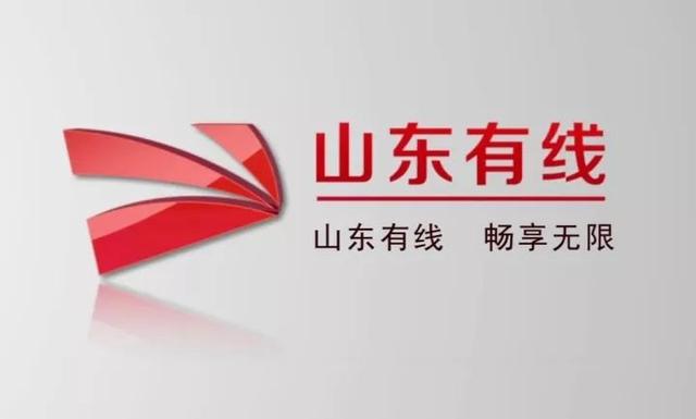 【高清看直播】2019年国际乒联钻石联赛新加坡站，2020东京奥运会选拔特别节目