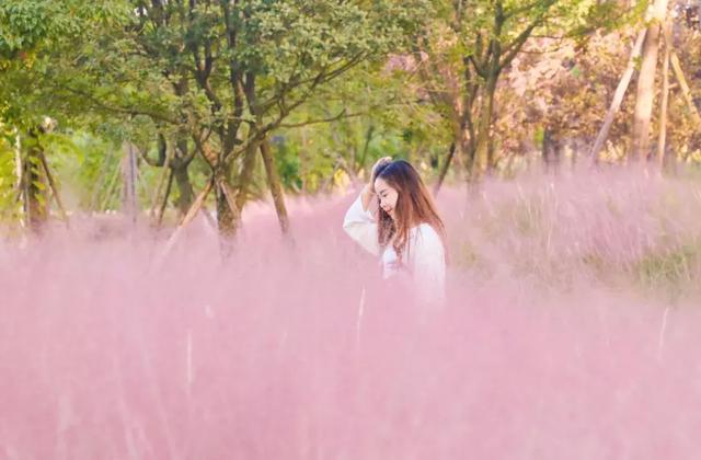 1号线上的小新加坡，还有网红粉黛乱子！