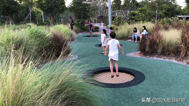 新加坡Jurong Lake Garden裕廊湖公园之美丽花草世界B魅力狮城