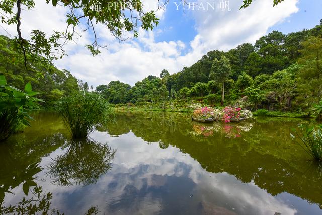 深圳盐田慢生活，纵情山海之间，享国内首家的天际无边泳池漂浮餐