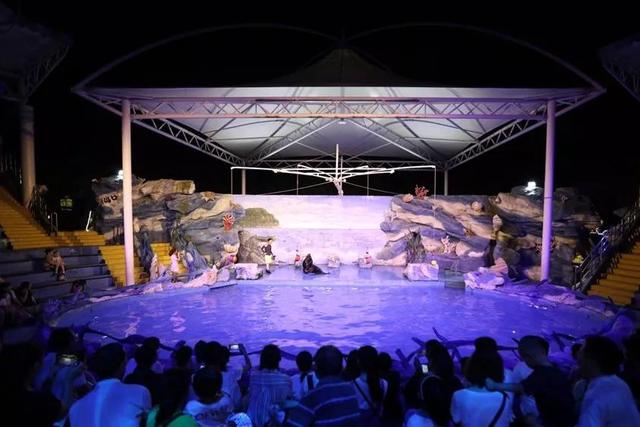 去處｜上海首開夜間動物園！全國第一家，就在浦東！攻略請收好