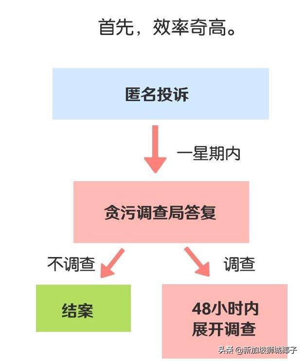 新加坡警察在警察局非礼中国女子，被判鞭刑