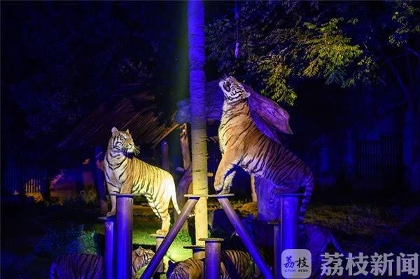 暑假带娃逛夜间动物园，新加坡太远，无锡刚刚好