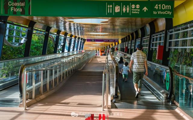 到新加坡圣淘沙岛旅游，跨海栈道最好去走走