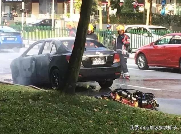 新加坡汽车又双叒叕起火了，浓烟滚滚！汽车起火怎么办！