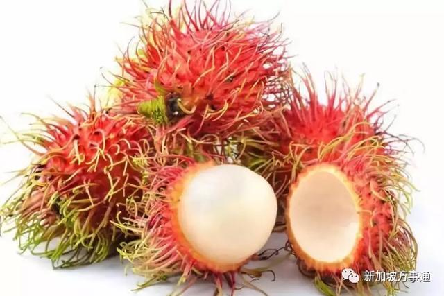 涨姿势啦！新加坡那些长相超级怪的水果大扫盲，美味可口至极～