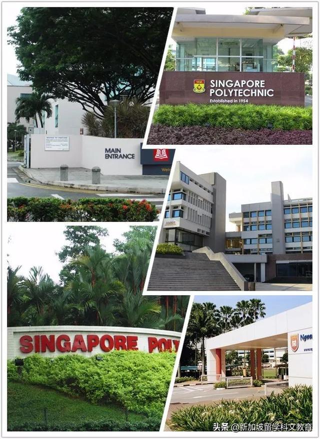 新加坡留学｜留学不只公立院校，还有这些私立学校同样优秀
