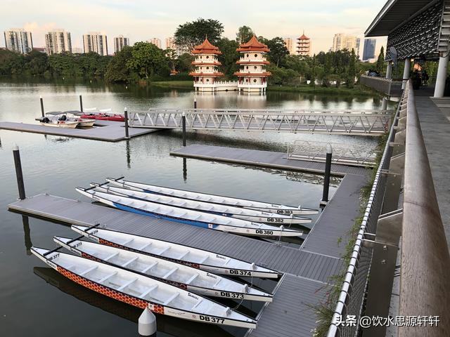 新加坡Jurong Lake Garden裕廊湖公园之美丽花草世界B魅力狮城