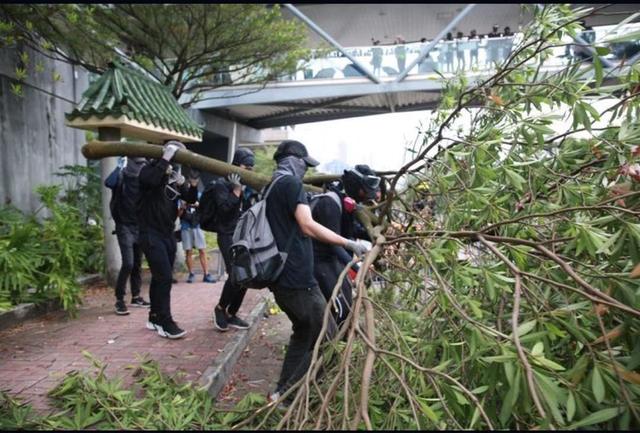 是什么让香港的象牙塔崩塌成恐怖分子温床？