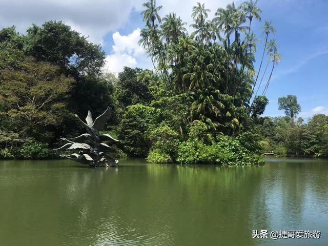 新加坡 植物园