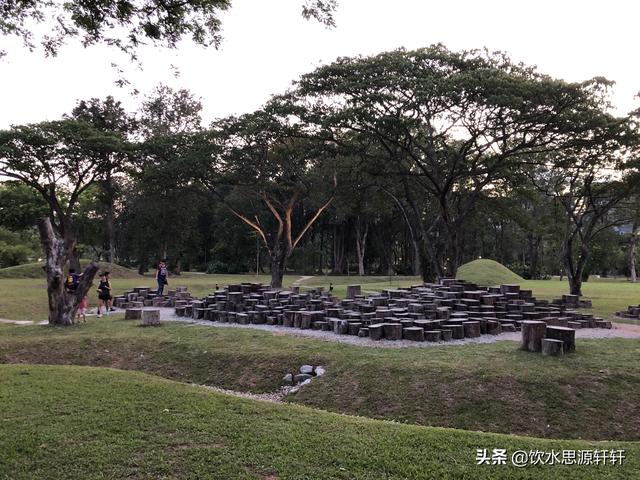 新加坡Jurong Lake Garden裕廊湖公园之美丽花草世界B魅力狮城