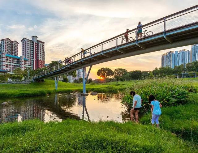 生态跳动的脉搏——新加坡碧山宏茂桥公园