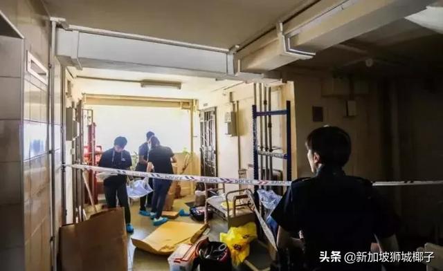 新加坡搭夥老夫妻殺人案震撼全島...