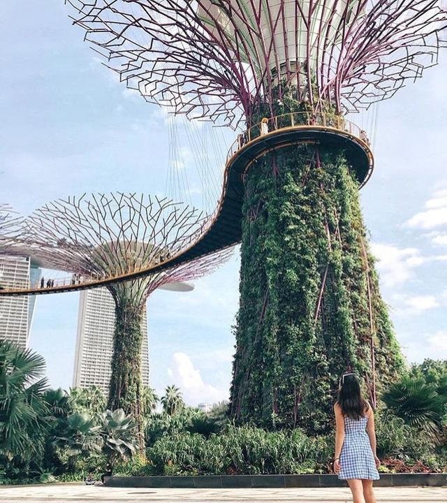 第一次去新加坡就上手！初访者必收的五个景点