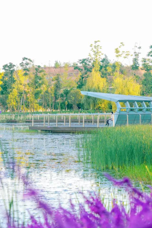 1号线上的小新加坡，还有网红粉黛乱子！